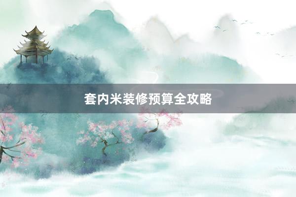 套内米装修预算全攻略