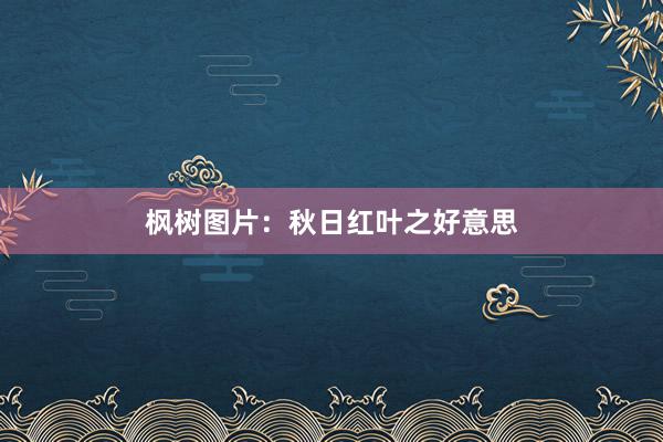 枫树图片：秋日红叶之好意思