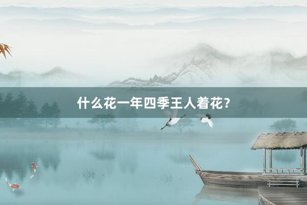 什么花一年四季王人着花？
